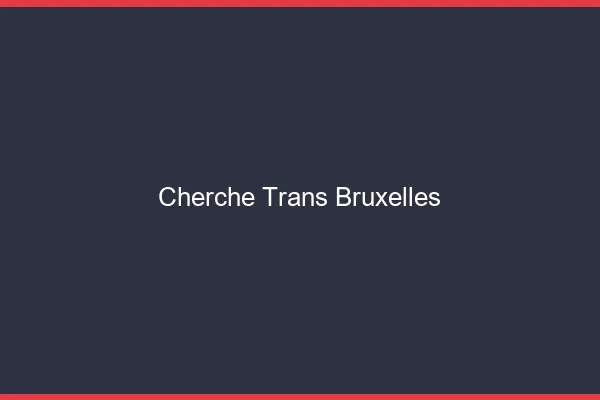 Cherche trans Bruxelles