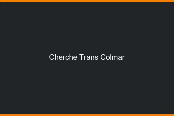 Cherche trans Colmar