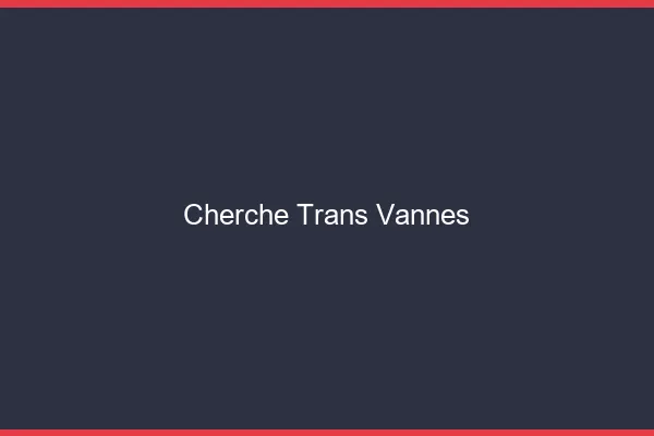 Cherche trans Vannes