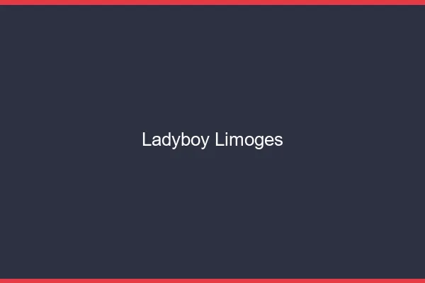 Ladyboy Limoges