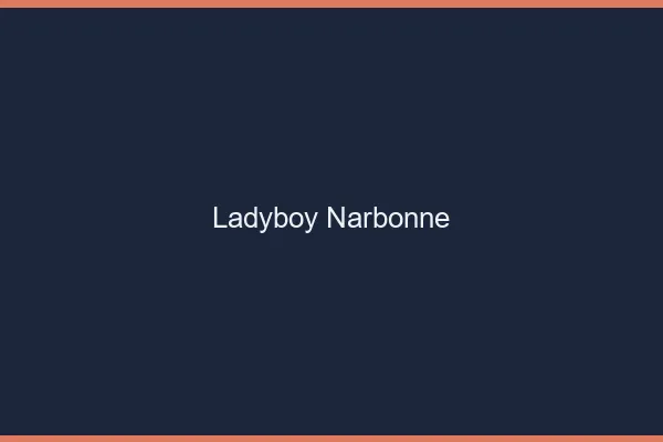Ladyboy Narbonne