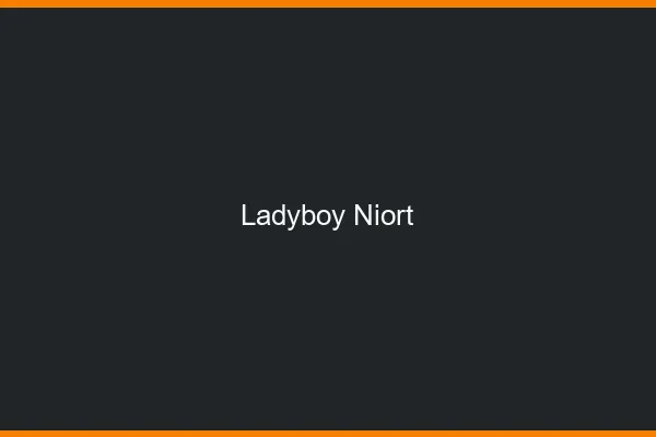 Ladyboy Niort