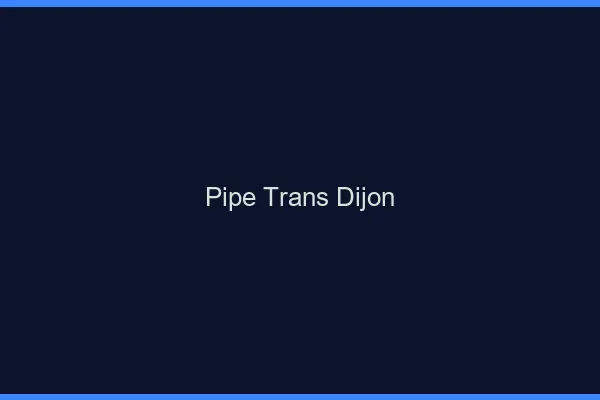 Pipe trans Dijon