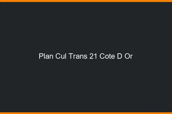 Plan cul trans 21 côte-d'or