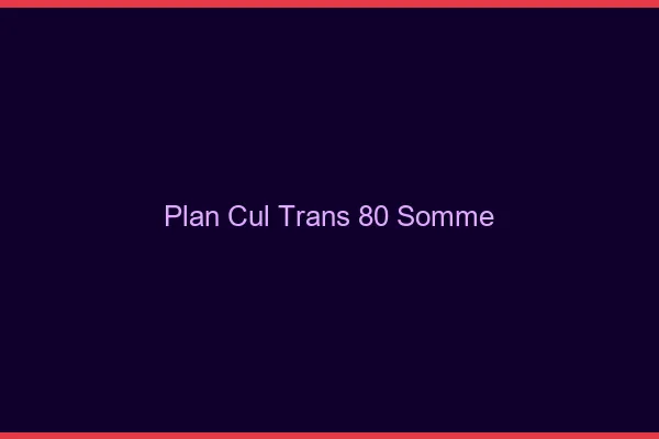 Plan cul trans 80 somme