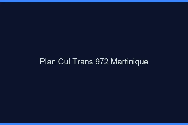 Plan cul trans 972 Martinique