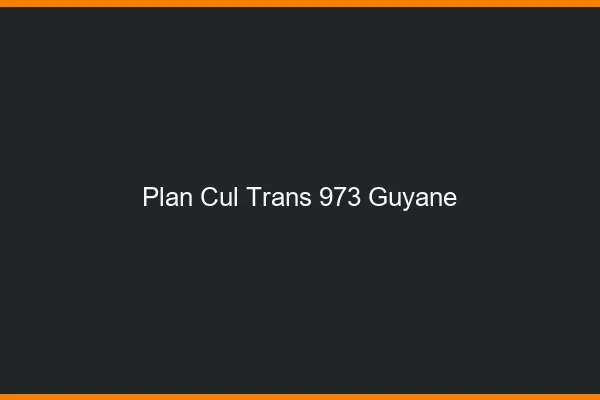Plan cul trans 973 Guyane