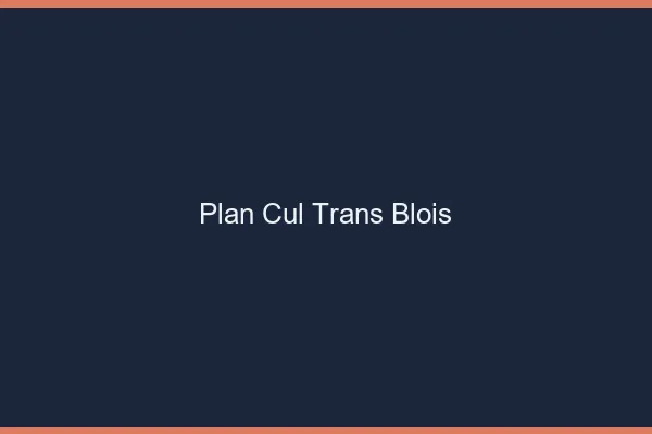 Plan cul trans Blois