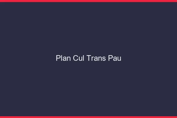 Plan cul trans Pau