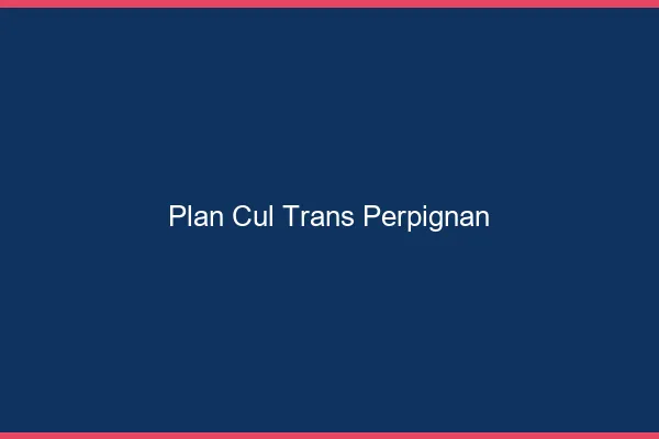 Plan cul trans Perpignan