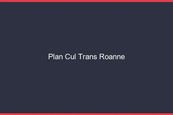 Plan cul trans Roanne