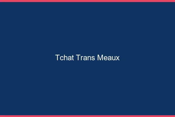 Tchat trans Meaux