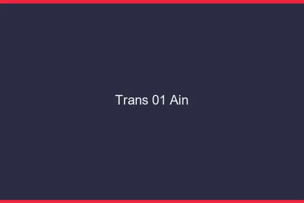 Trans 01 ain