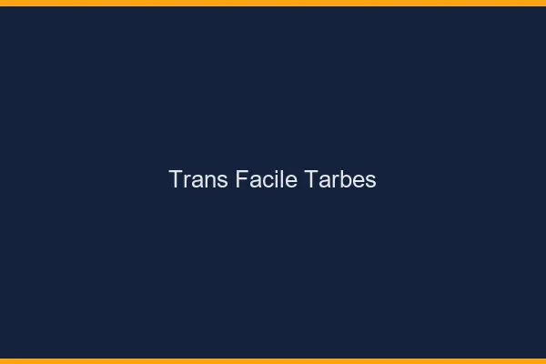 Trans facile Tarbes
